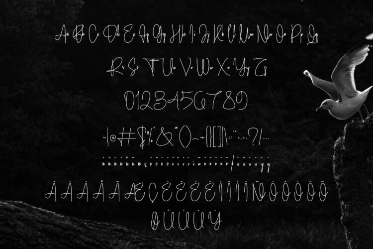 maltoray signature font