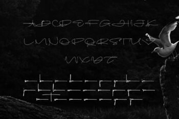 maltoray signature font