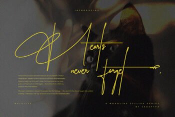 delailta monoline signature