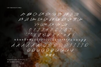 feirh modern monoline script font