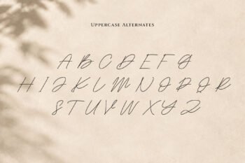 Heristella Elegant Monoline Signature Font