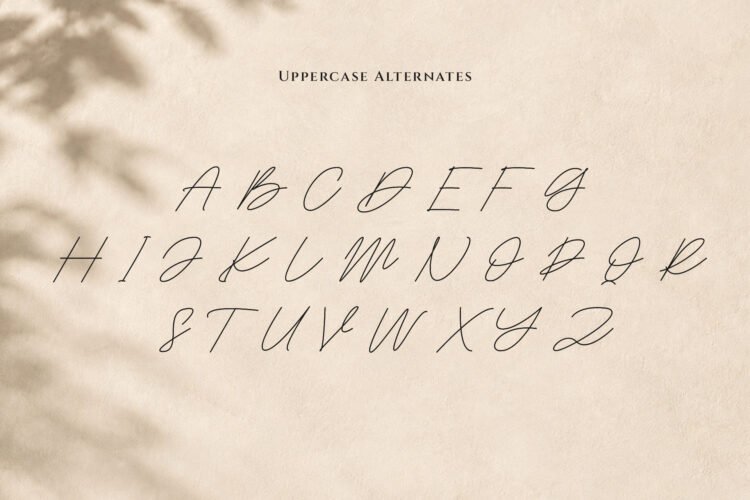 Heristella Elegant Monoline Signature Font