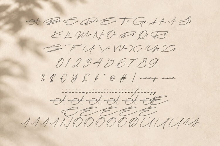 Heristella Elegant Monoline Signature Font
