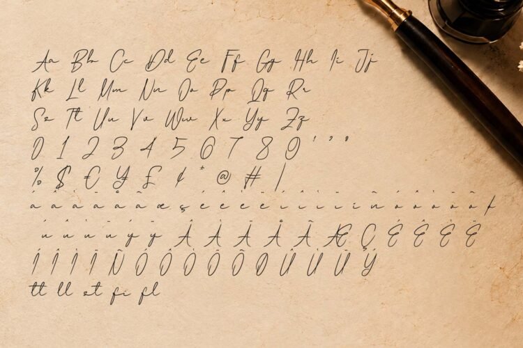 Meghyle Stylish Brush Cursive