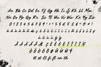 Shalyze brush script font
