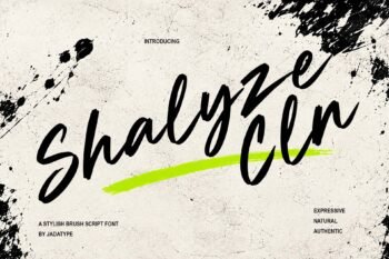 Shalyze Cln - Clean Brush Script