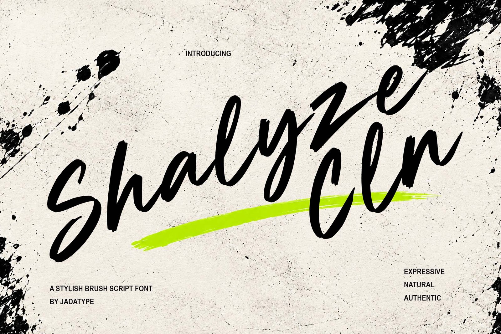 Shalyze Cln - Clean Brush Script