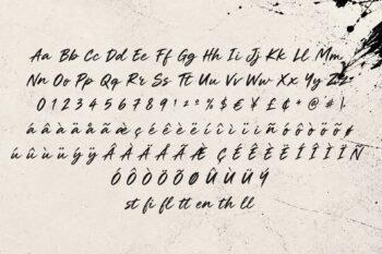 Shalyze Cln - Clean Brush Script