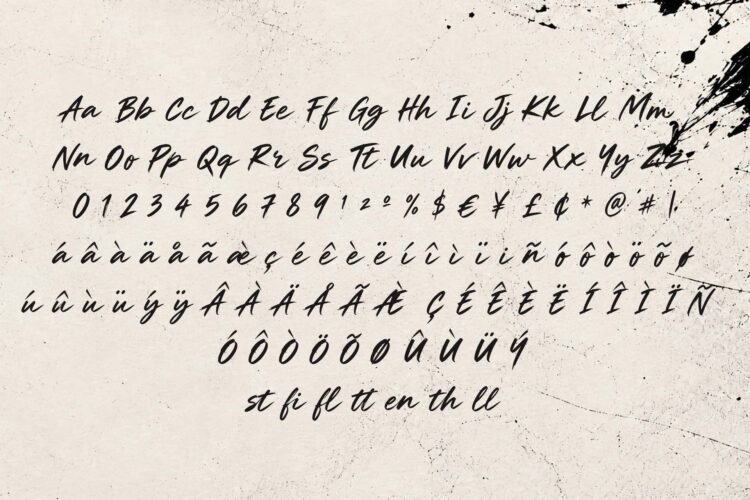 Shalyze Cln - Clean Brush Script